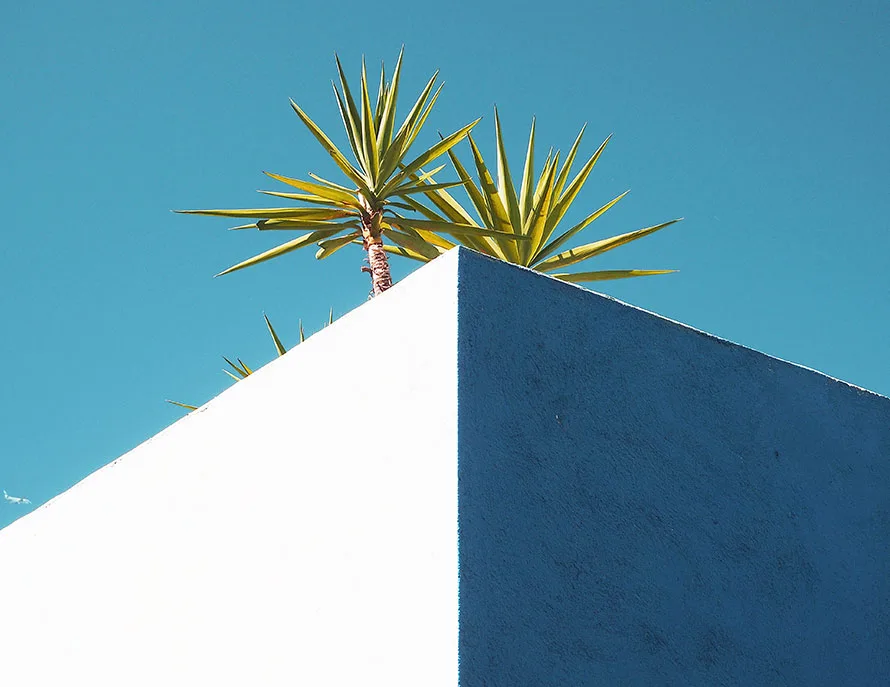 球星故事与生涯 - 世界杯决赛